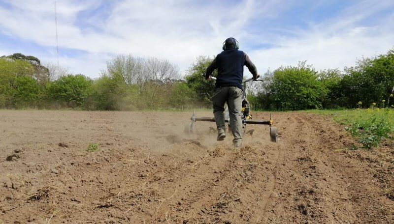 Un “microtractor” multipropósito: cómo es “Chango”, un desarrollo del INTA para agricultores familiares 3 minitractor inta 2