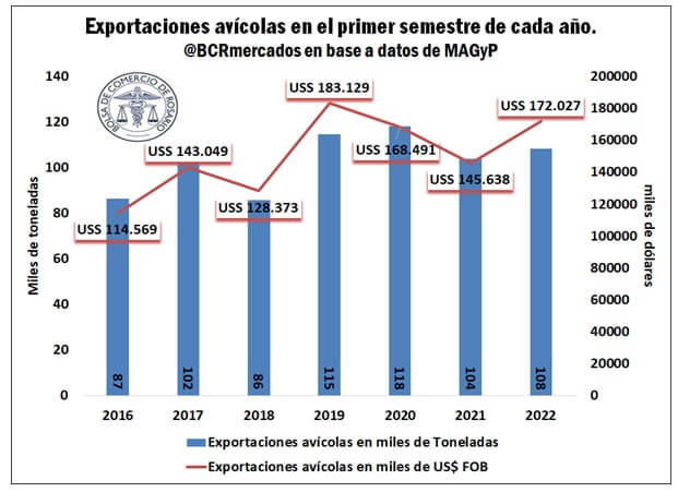El pollo argentino desplega sus alas exportadoras 1 pollo 1
