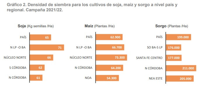 semillas