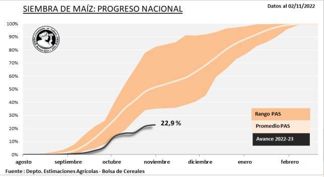 Maiz Siembra