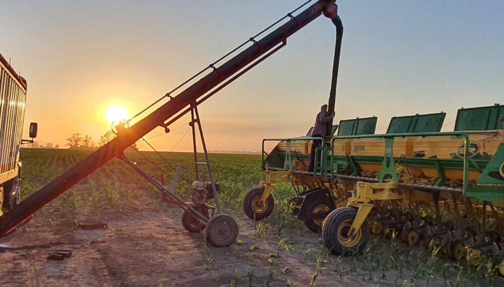 El gran desafío de las empresas agrícolas: cómo atravesar años complejos y renovar sus objetivos