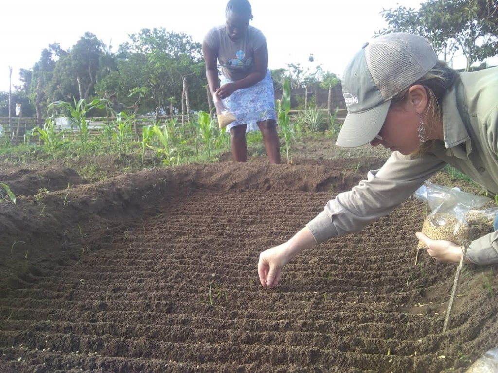 Guadalupe, la correntina que estudia en EE.UU. la genética del arroz para ayudar a África 6 Siembra de ensayos02