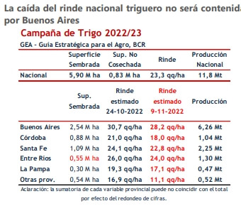 Trigo Rinde