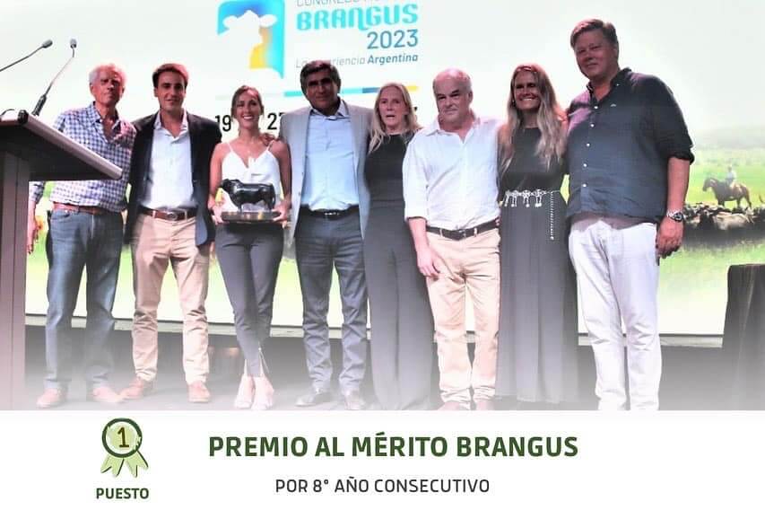 En las cabañas de las sierras cordobesas se alojan los mejores Brangus 1 317558734 558881622912692 2740324462211443286 n