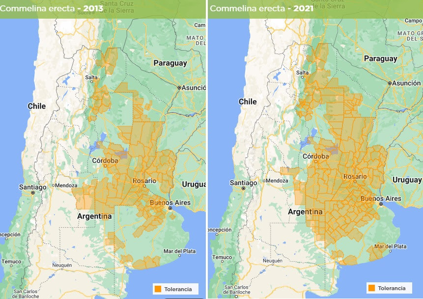 Mapa de expansion Flor de Santa Lucia