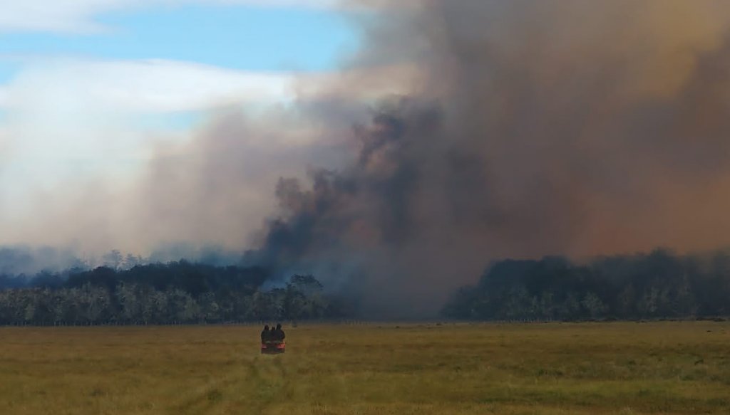 incendio t del fuego cra