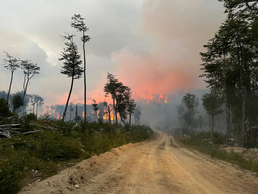 incendio tierra del fuego cra