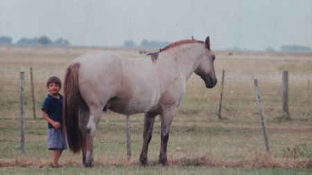 Panchi haciendo travesuras de chico con ese caballo tan especial Cafe el Tata