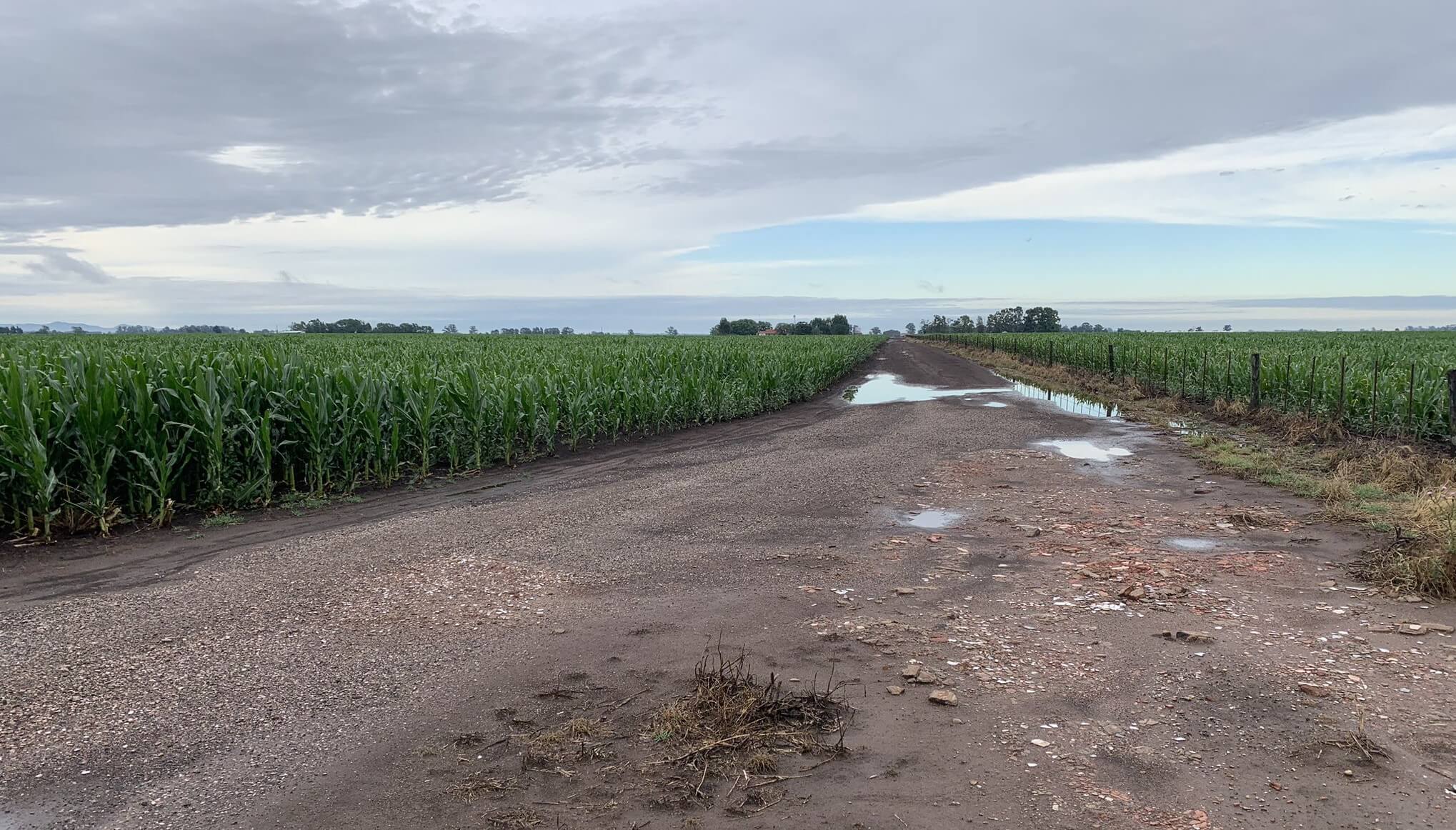 lluvia tormenta camino rural