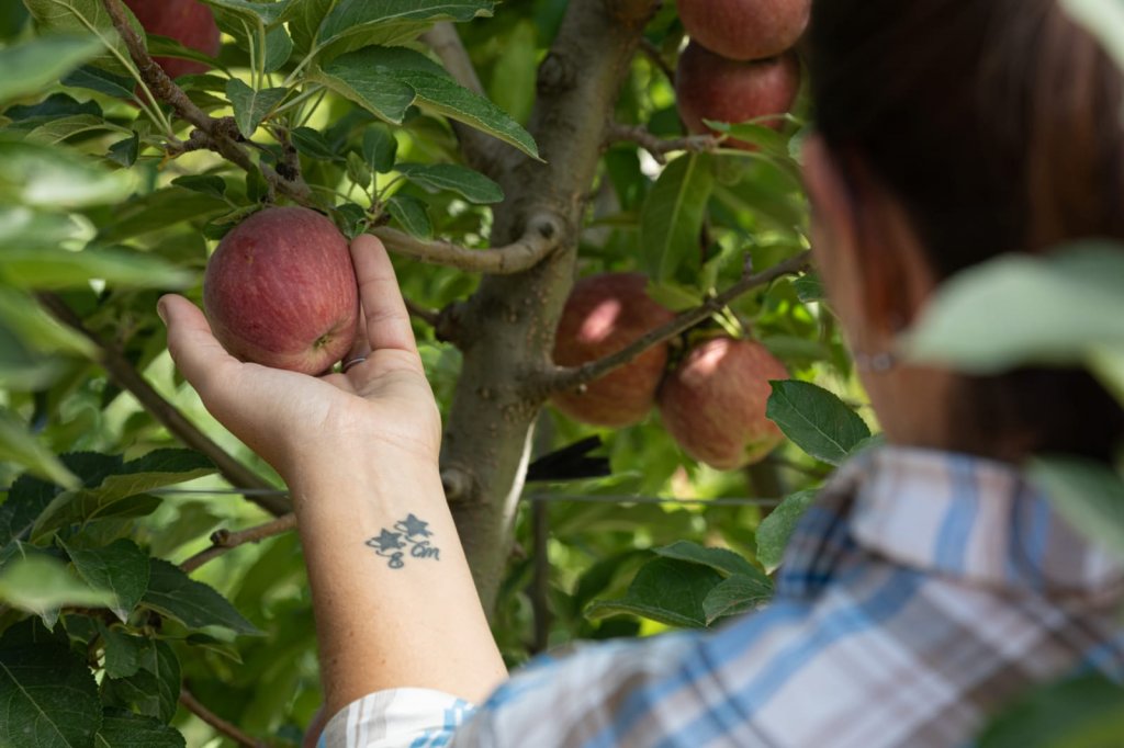 Laura y manzana y tatuaje