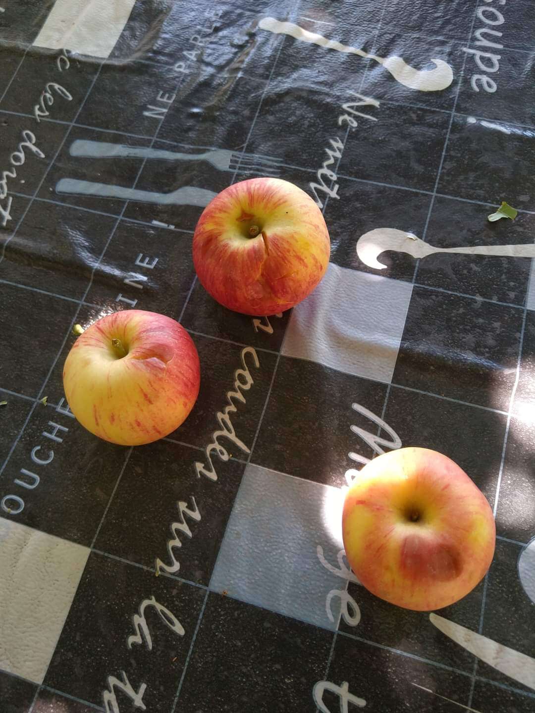 Manzana granizo