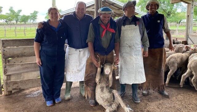 Orgullo de la genética Argentina : investigaron ovinos durante 12 años y lograron animales resistentes a parásitos