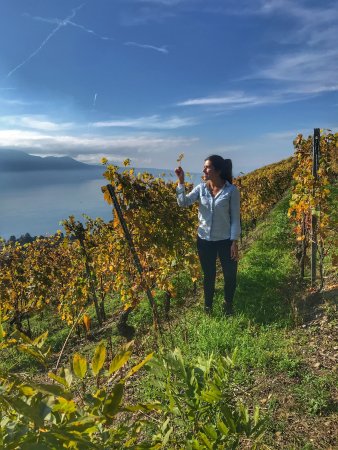 Vid en Terrazas en lavaux Suiza