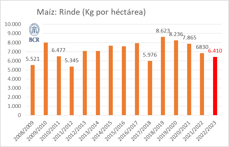 maiz rinde bcr