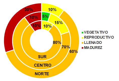 Maiz bola bahia blanca