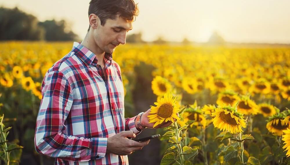 Nera girasol.jpg e1678990030415