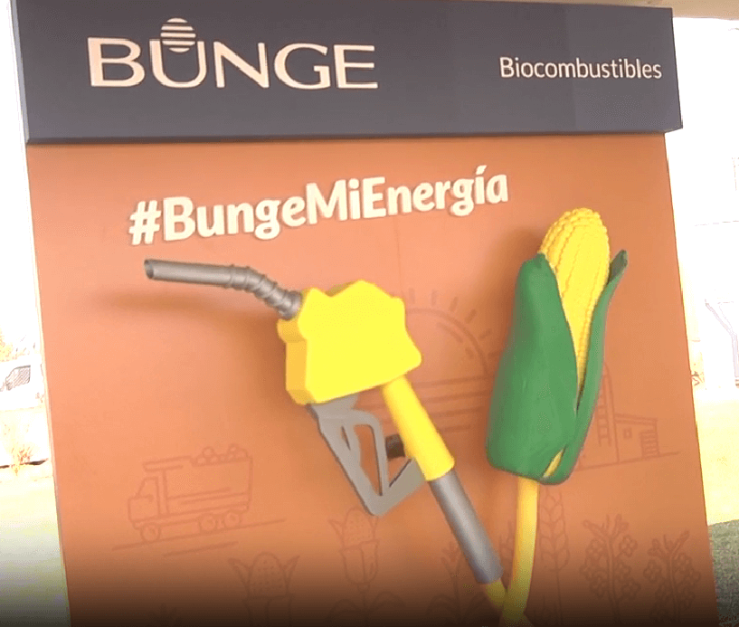 bunge biocombustibles