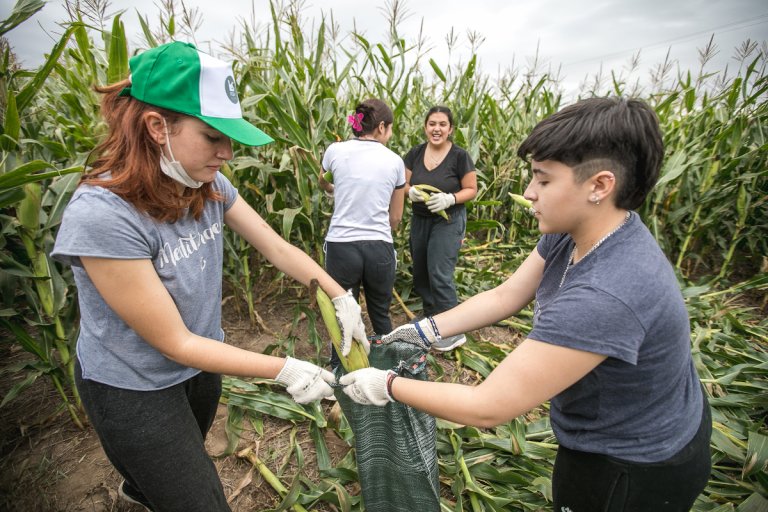 En Córdoba se realizará una nueva “chocleada solidaria”