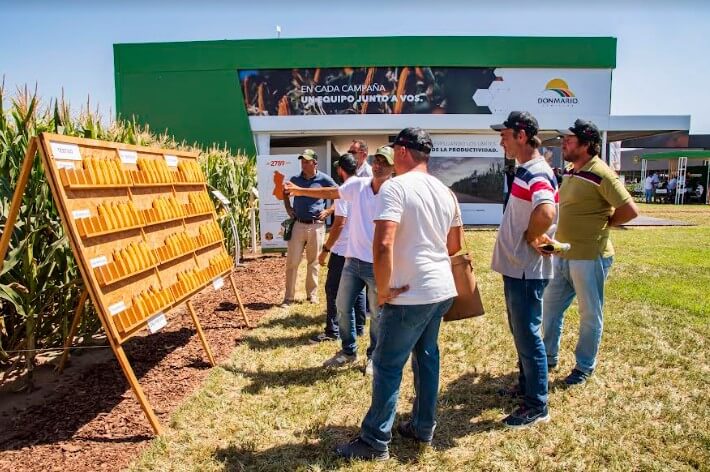 donmario expoagro maiz