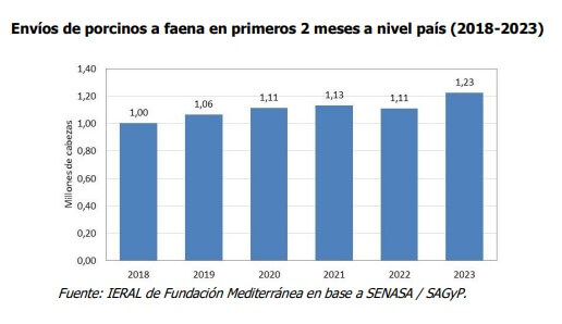 faena cerdos bimestres