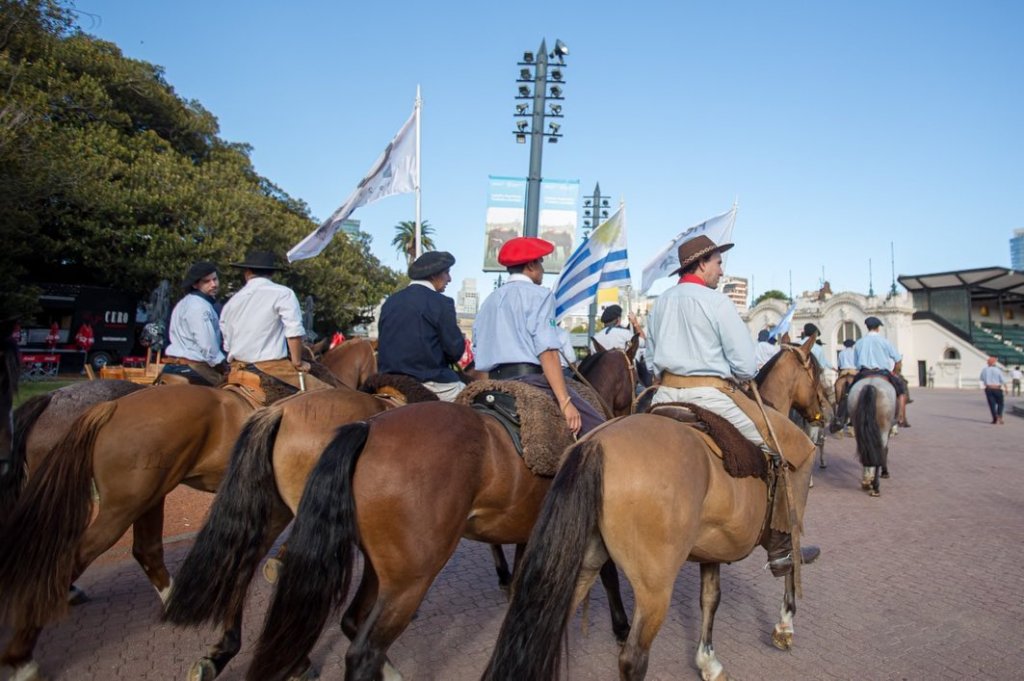 nuestros caballos 1