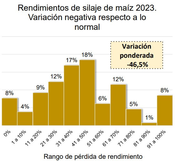 rinde silaje maiz