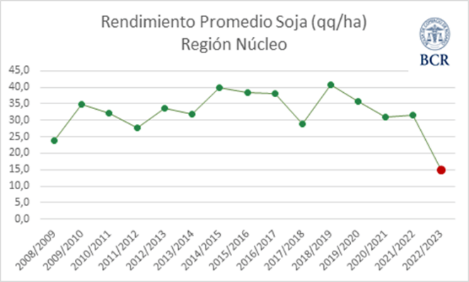 rindes soja