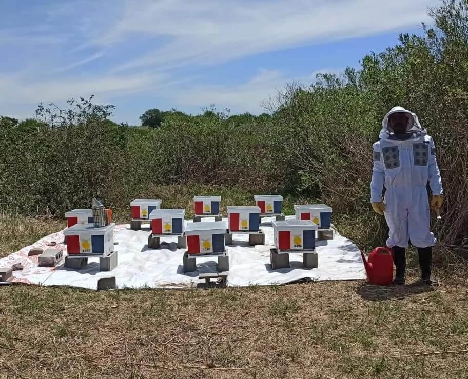 apicultura en cba