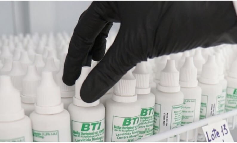 Invasión de mosquitos: un "biolarvicida", la solución que propone el INTA para frenar al dengue 1 biocontrolador dengu