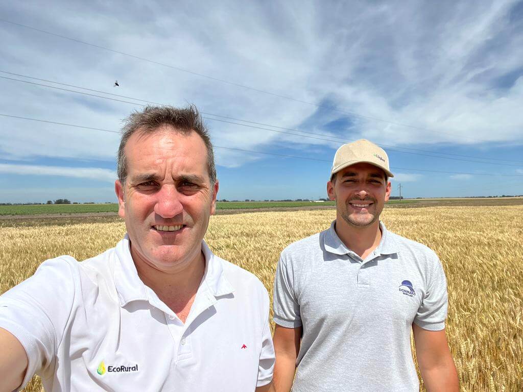 Ante la nueva campaña de trigo, aconsejan a los productores comenzar a asegurar la semilla 1 foto 2