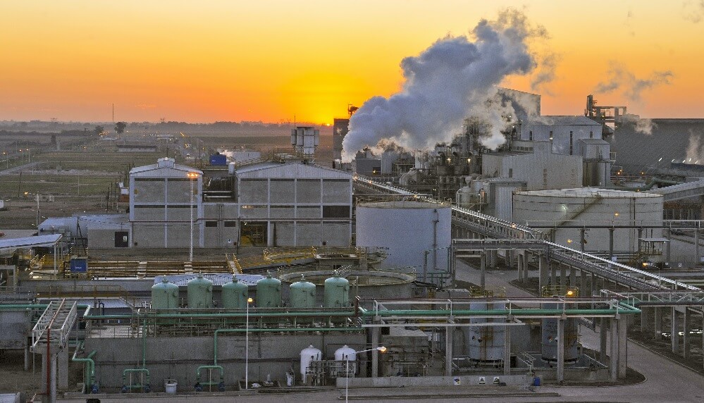 industria aceitera