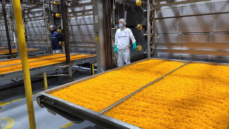 En Mendoza, los vegetales recorren el camino desde el lote hasta el sobre de sopa