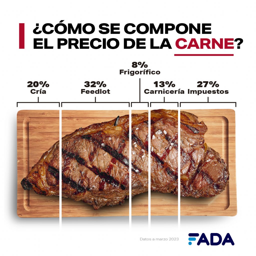 Info CARNE Redes 1