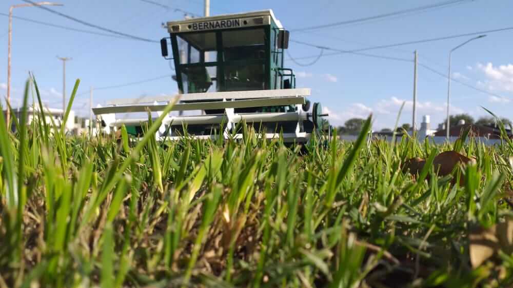 El artesano de las máquinas agrícolas: las replica de manera exacta en miniatura 4 WhatsApp Image 2023 05 25 at 18.25.30