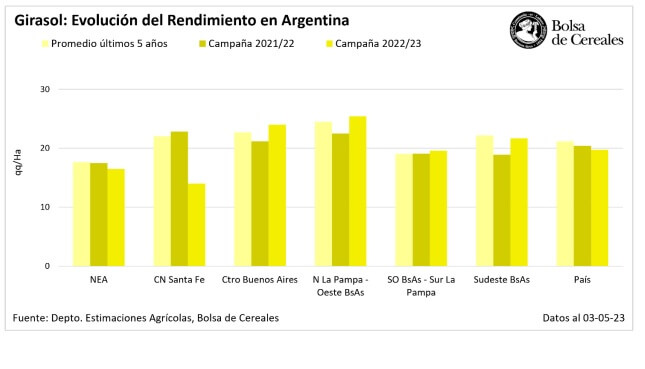 girasol