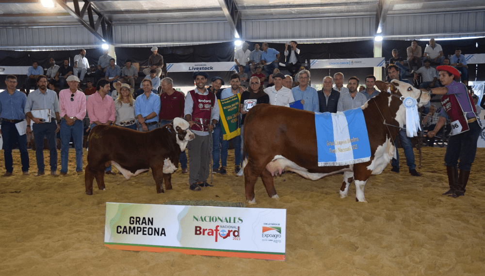 gran campeona braford corrientes