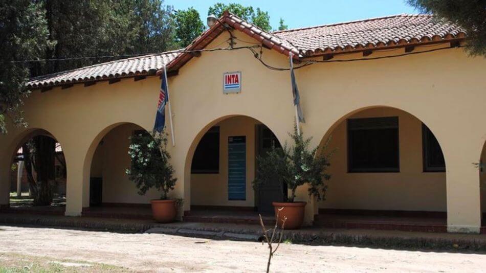 "Valle Viejo INTA": después de 40 años, se inscribió una nueva variedad de comino 1 inta catamarca