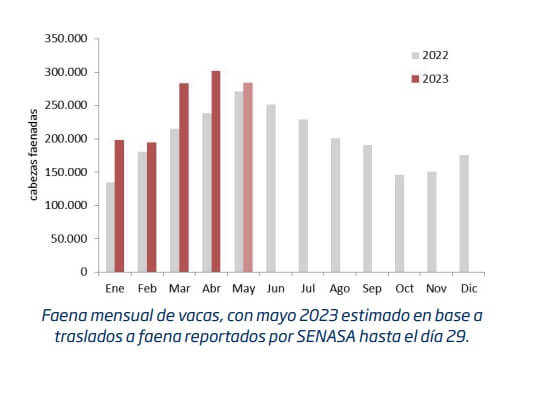 La cría, complicada para "pasar el invierno": se venden las vacas sin saber si se podrá reponerlas 1 rosgan 1 3
