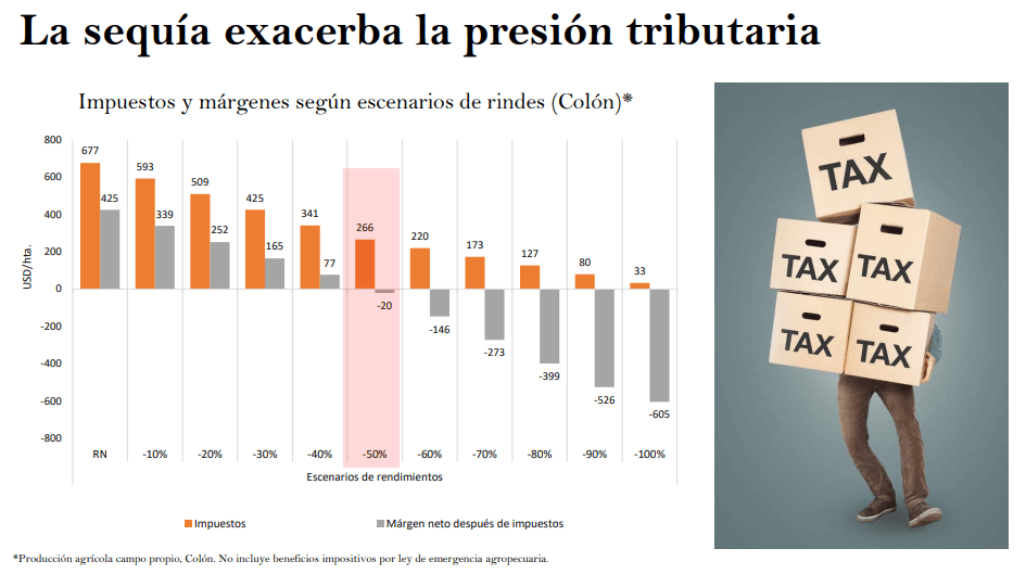 sequia impuestos garzon