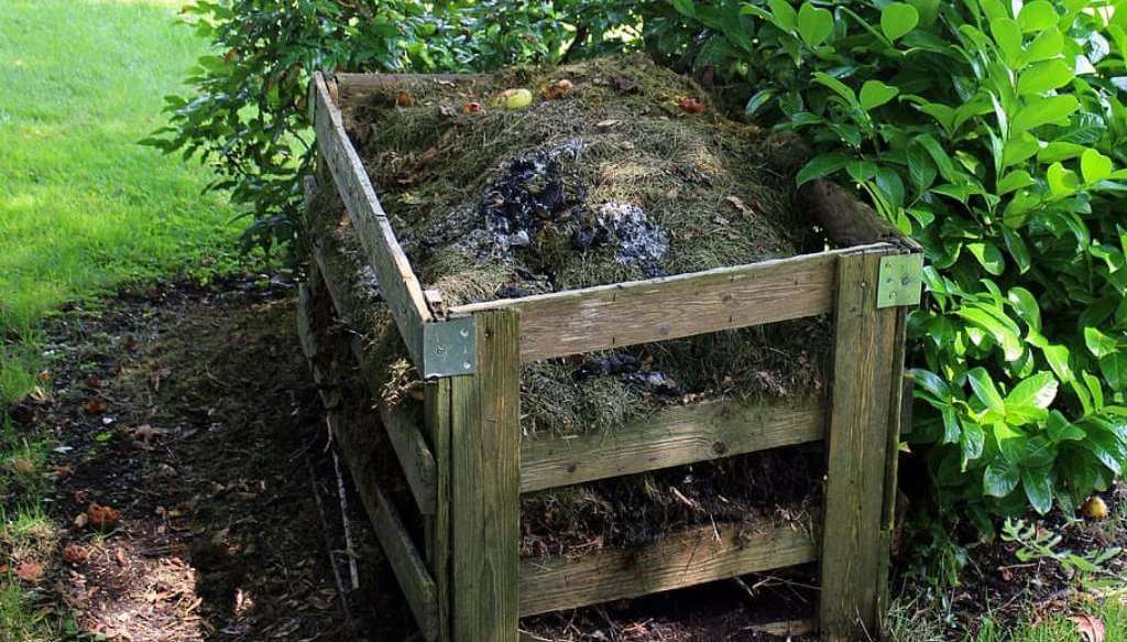 Compost en casa: cómo hacer para convertir la basura en vida