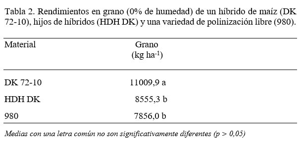 ¿Conviene sembrar hijos de híbridos en maíz?: los datos que dejó un ensayo en Córdoba 2 maich tabla 2