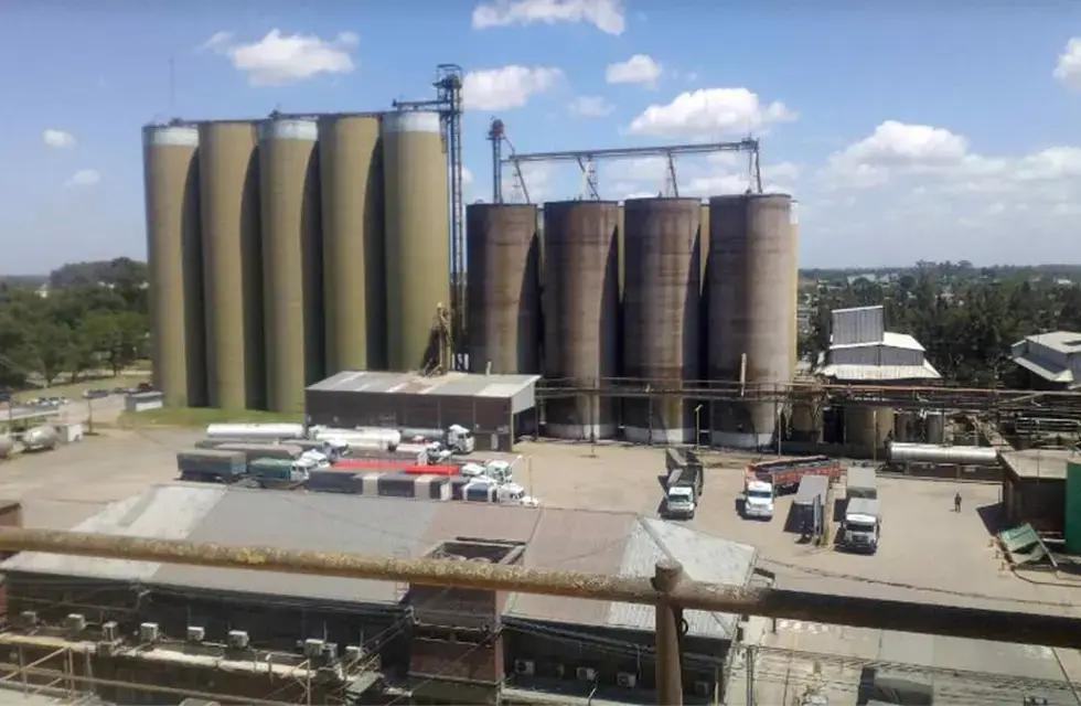 En un año, el fideicomiso triguero repartió $ 35.000 millones: cuáles fueron los molinos beneficiados 1 molino canuelas