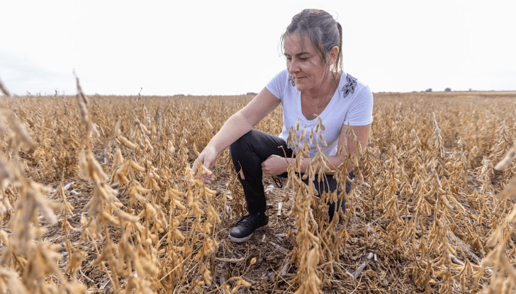 soledad stadler mujer productora soja