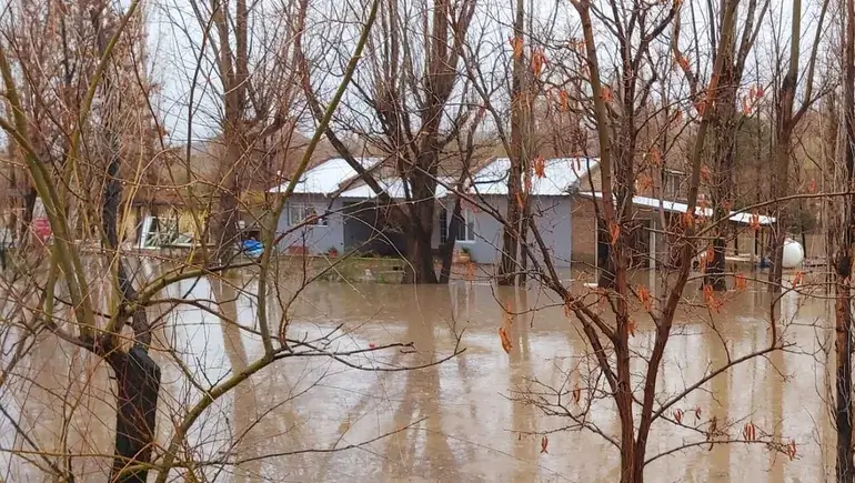 temporal neuquen