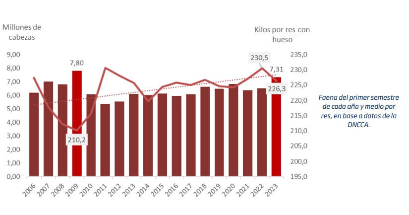 La faena bovina creció 13% en el primer semestre y fue la más alta en 14 años 1 Rosgan 1 1