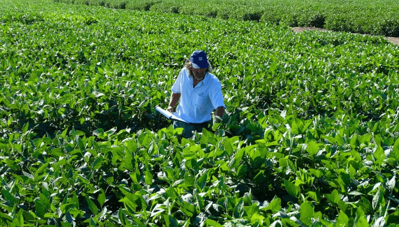 adrian de lucia inta misiones soja