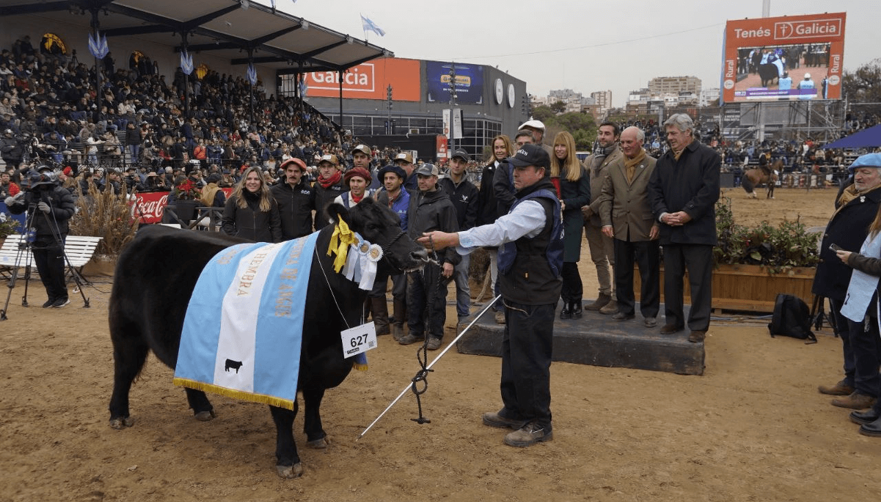 angus campeona palermo