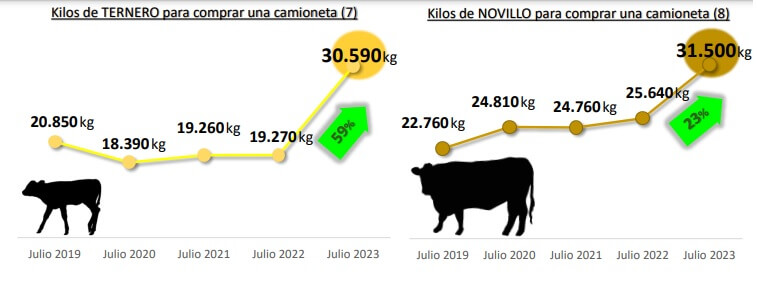 camio 2