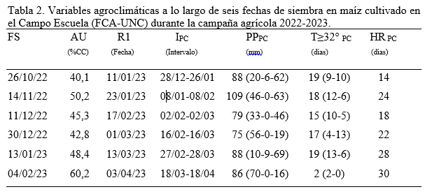 Maíces tardíos 2022/23: las siembras de diciembre y una analogía con el volcán Vesubio 2 maich tabla 2