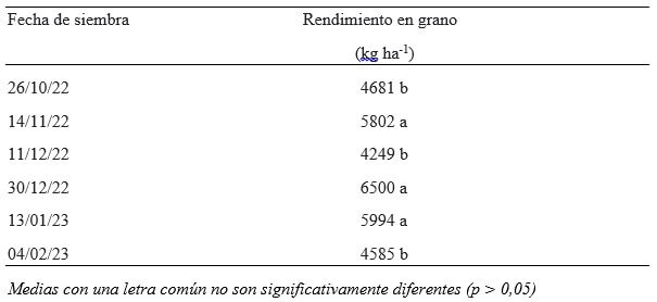 Maíces tardíos 2022/23: las siembras de diciembre y una analogía con el volcán Vesubio 1 maiz ensayo maich